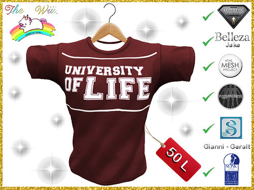 :TWF: Shirt University | by The Wii Factory