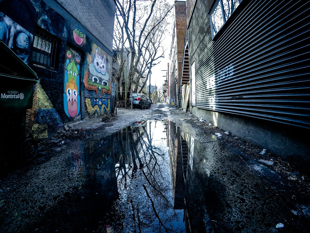 Back Alley Reflections