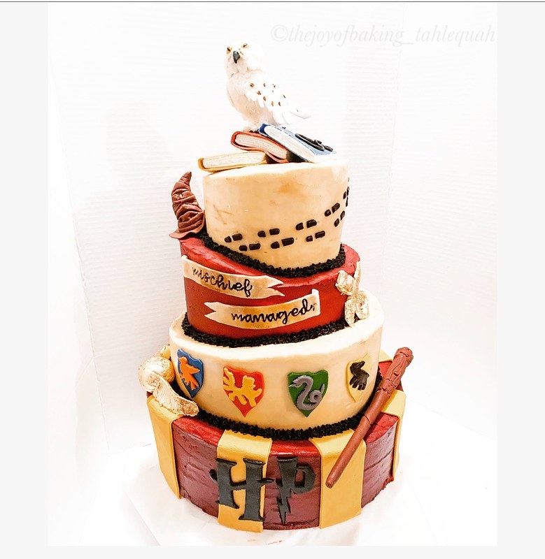 Harry Potter Inspired Cake by The Joy of Baking Tahlequah