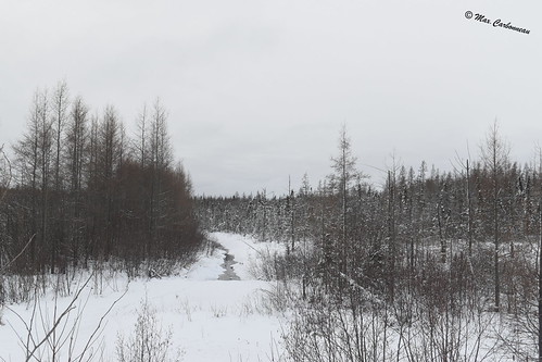 Landscape, 
