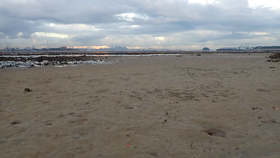 Sandy shore at Pulau Semakau (East)