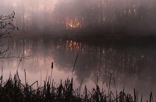 mccamy lake dece fall fog water reflection
