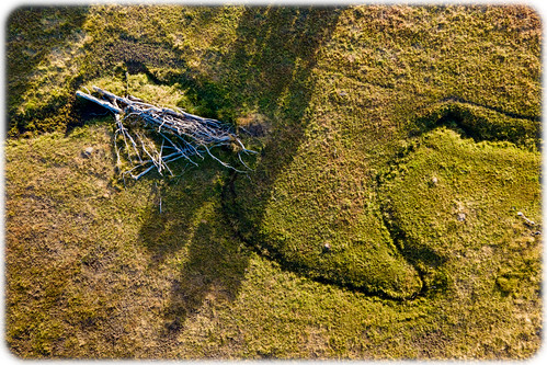 rural creek farm australia aerial farmland wa agriculture westernaustralia drone dji mavicair2 noflash 45 f28 24mmf28 windings 0ev ¹⁄₆₀sec isoiso100 fc3170 20201111dji0202dng