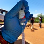 Rabies  vaccine A dose of the rabies vaccine is prepared for dog vaccination in Machakos County Kenya (photo credit Geoffrey Njenga, ILRI)