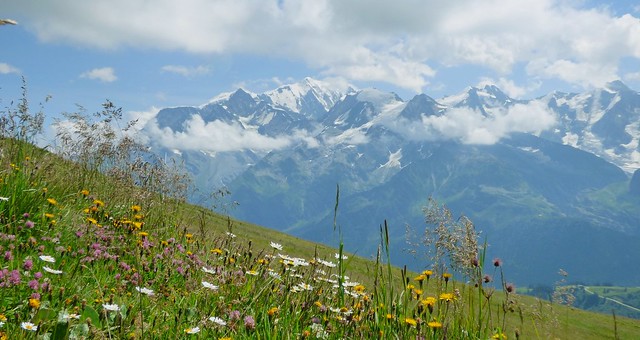 Chaîne du Mont Blanc, derrière le Val Montjoie.