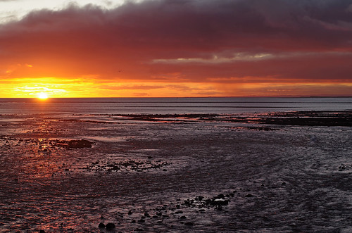 ericrobbniven scotland dundee barnhill beach sunrise springwatch
