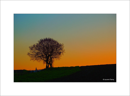 landscape nature trees countryside sunset