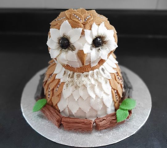 Owl Cake by Danny Valeting