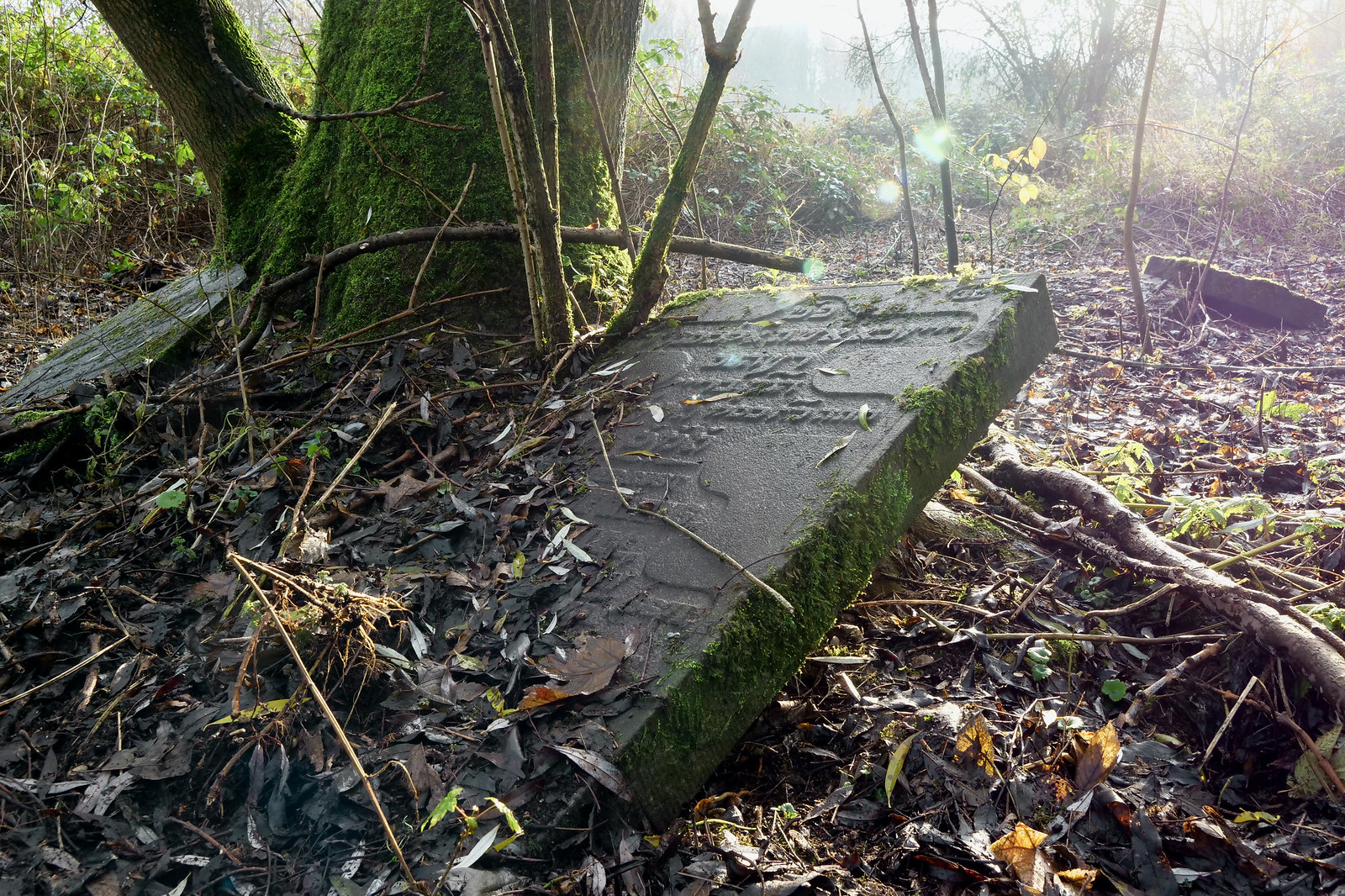 Overgrown gravestone