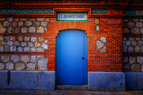 madrid by _tonidelong, matadero legazpi madrid 2020 fall autumn hoja hojas leaf leave laboratorio morning mañana soil groun