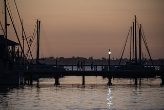 Palmetto Harbor at Sunset