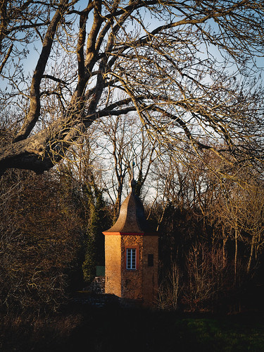 wasserburgdreiborn dreiborn eifel gebäude architecture architektur historic historisch baum tree sonnenuntergang sunset light lrpresetfujicolor400n building burg castle gartenpavillon abigfave