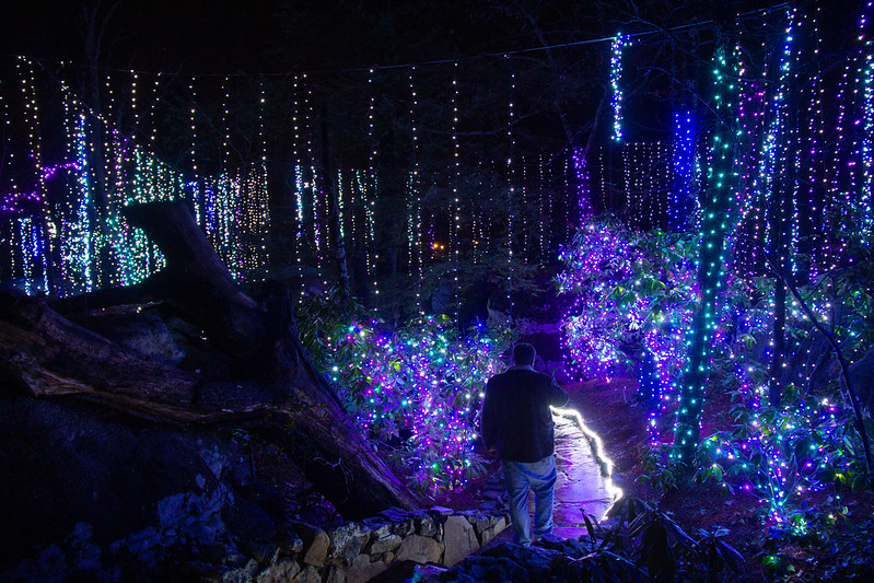 Enchanted Garden of Lights33