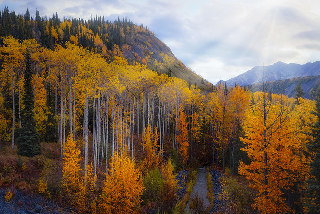 Chugach Mountain Autumn (Explored)