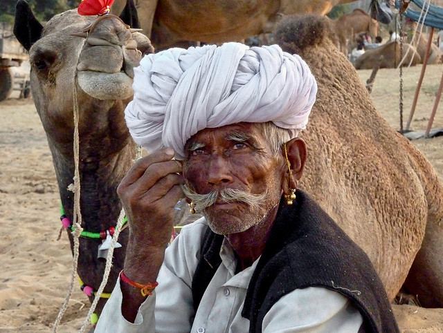 Inde - A la foire aux chameaux de Pushkar.