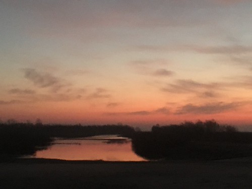 Sunrise at Ten Mile Pond by Allen Gathman, Big Oak Tree Christmas Bird Count, 2020cbc bigoaktree sunrise birding tenmilepondconservationarea