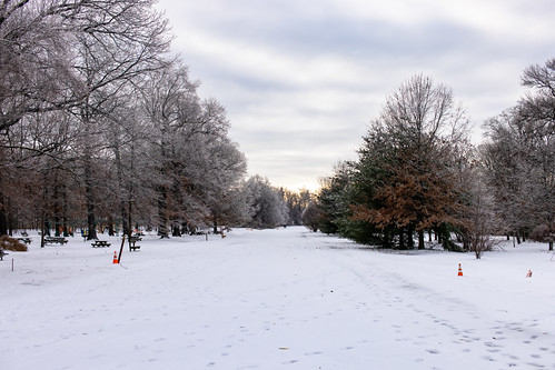 December Ice & Snow - Sigma 50mm F1.4 EX - Canon R5 by abysal_guardian, december ice snow sigma 50mm f14 ex canon r5 eos mirrorless fullframe 45mp r control ring mount adap