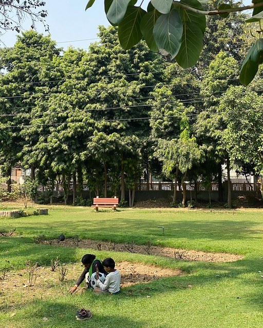 City Life - Gardeners' Dreams, Sector 15, Gurgaon