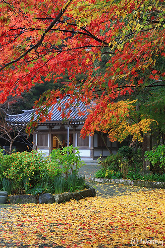 Chinkokuji Temple