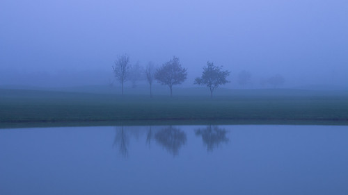 cranhamgolfcourse bluehour mist misty trees treephotography fog foggy reflections reflection canon canon700d canondslr morning lake essex essexlandscape essexlandscapes upminster havering london landscape landscapephotography landscapes golfcourse moody