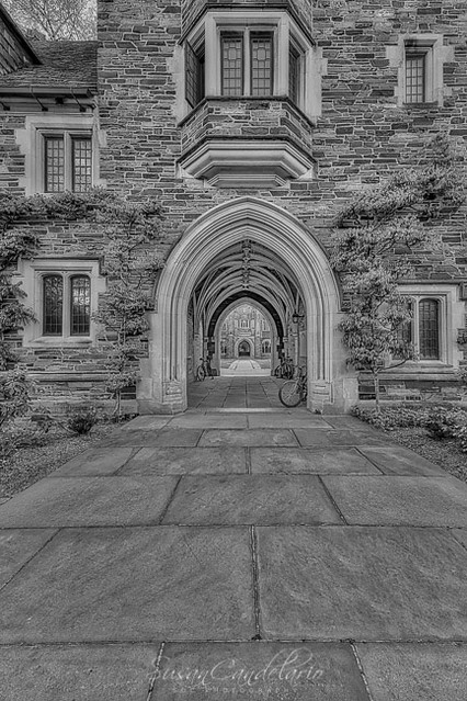 Princeton Rockefeller Arches  BW
