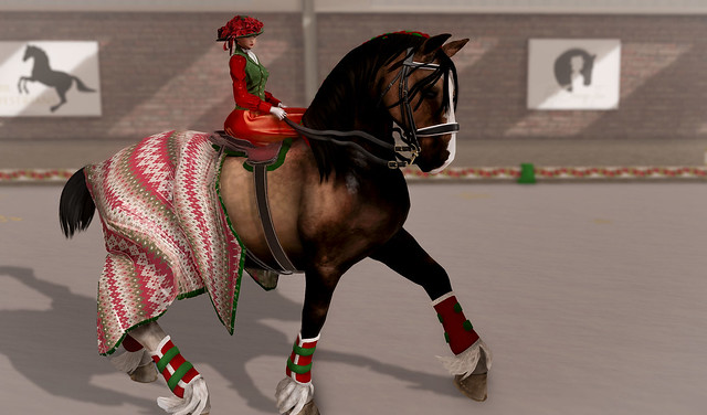 Equestrian Christmas Show