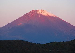 Morning light: pink Mt. Fuji