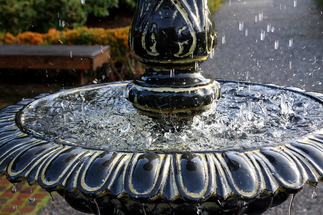 Splashings in a garden fountain
