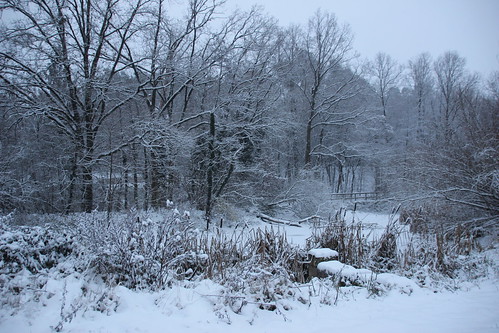 natur landschaft rednitztal landscape nature outdoor outside franconia mittelfranken pappleany winter stein