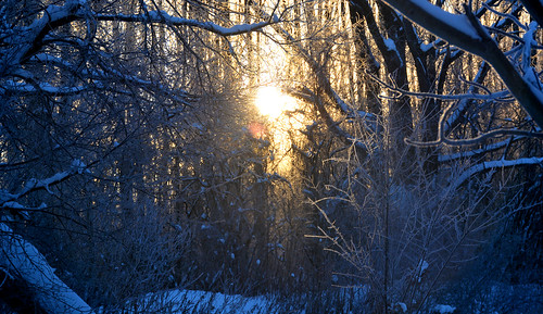 sun sunrise snow winter