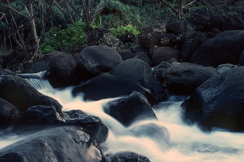 Hawaiian Stream
