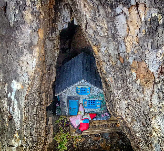 Fairy House in a Tree Trunk
