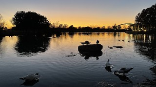 Lake Mueller, Austin TX
