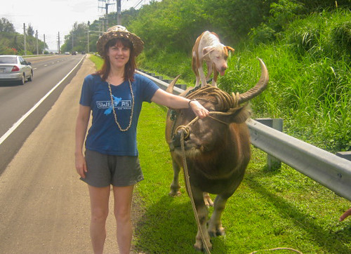 Hitchhiking - Guam