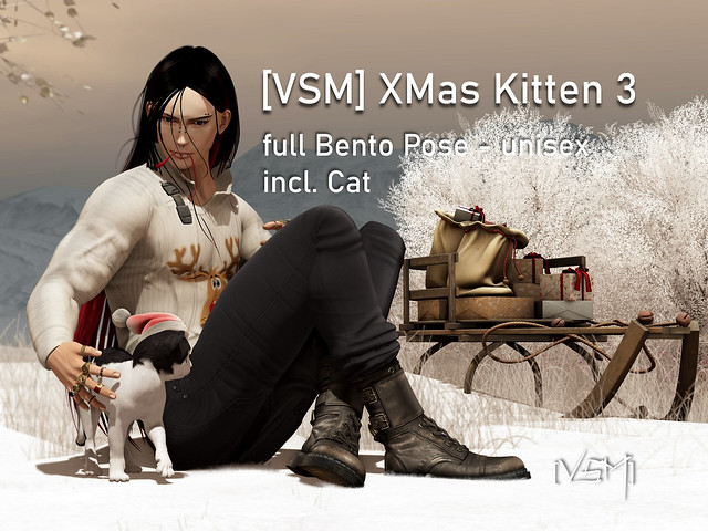 [VSM] XMas Kitten 3