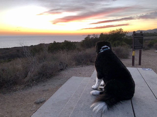 Walt enjoys the sunset