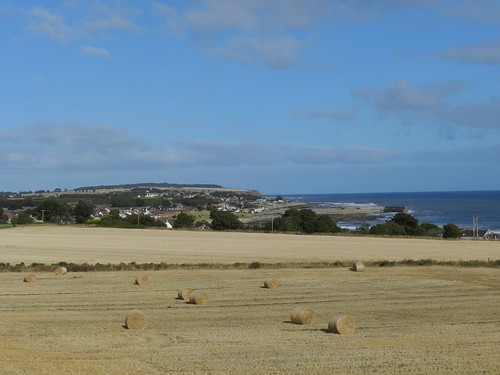 shandwick balintore easter ross east coast blue sky viewpoint hay bales famrmer field food communities allanmaciver