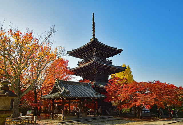 Three-storied Pagoda and autumn leaves in Kyoto