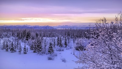 Alaska - December 21, 2020