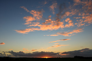 Royston Sunset