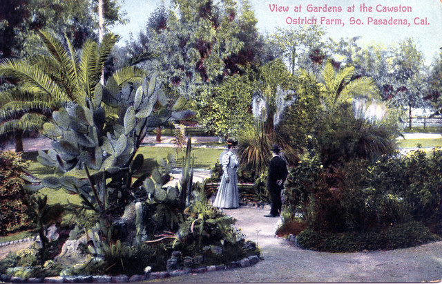 View at Gardens at the Cawston Ostrich Farm South Pasadena CA