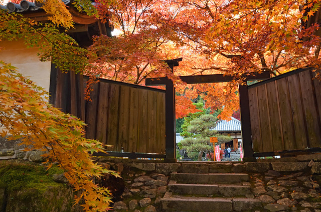 A gate in a temple in Kyoto