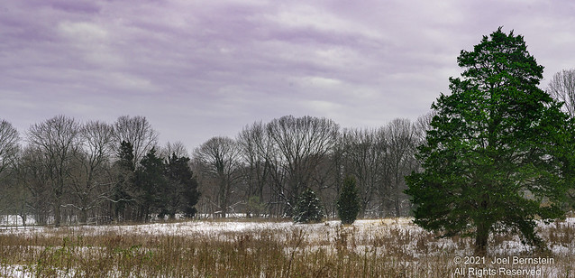 Red Cote Preserve - First Day of Winter 2020-21-2.jpg