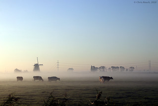 Misty morning near Oud Ade