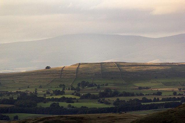 Great Asby Scar, Yorkshire Dales National Park near Tebay, Cumbria, UK