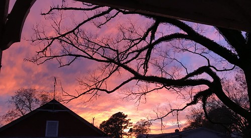 creswell nc silhouette pink sunset