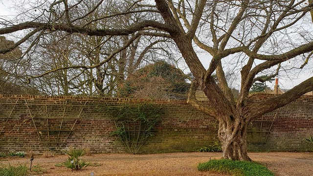 Wednesday Walls...Kew Gardens
