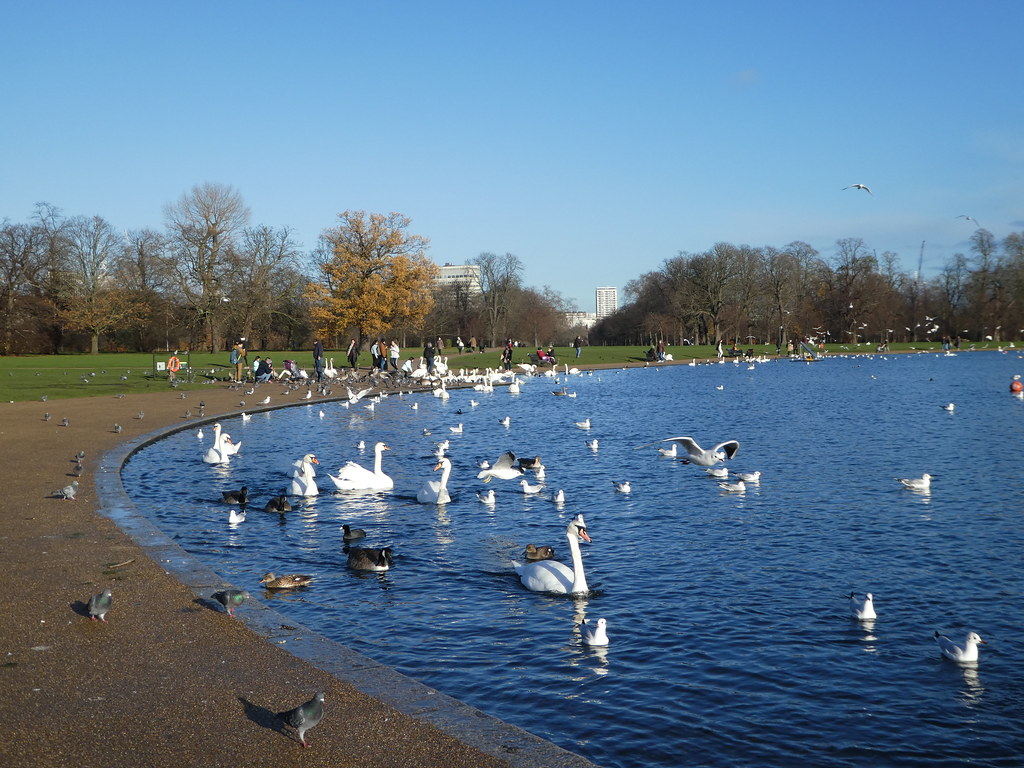 The Round Pond, Kensington Gardens