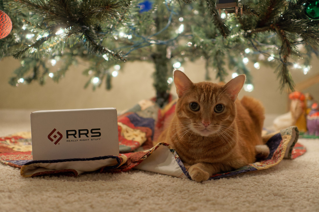 Our cat Sam sits underneath the Christmas tree beside a box from Really Right Stuff on December 22, 2020. Original: _RAC1661.arw