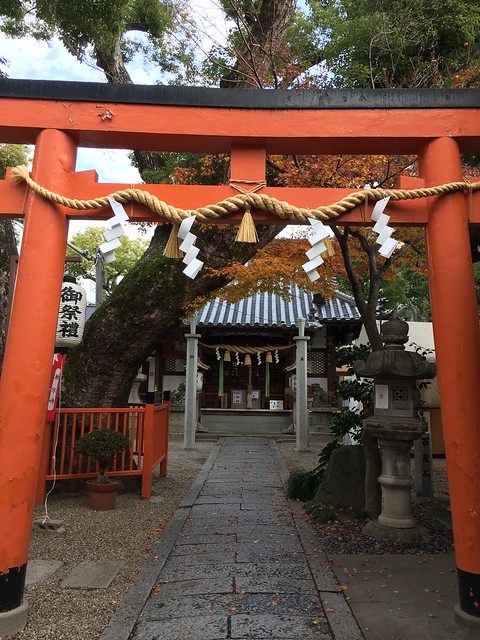 晩秋の神社 Late autumn shrine